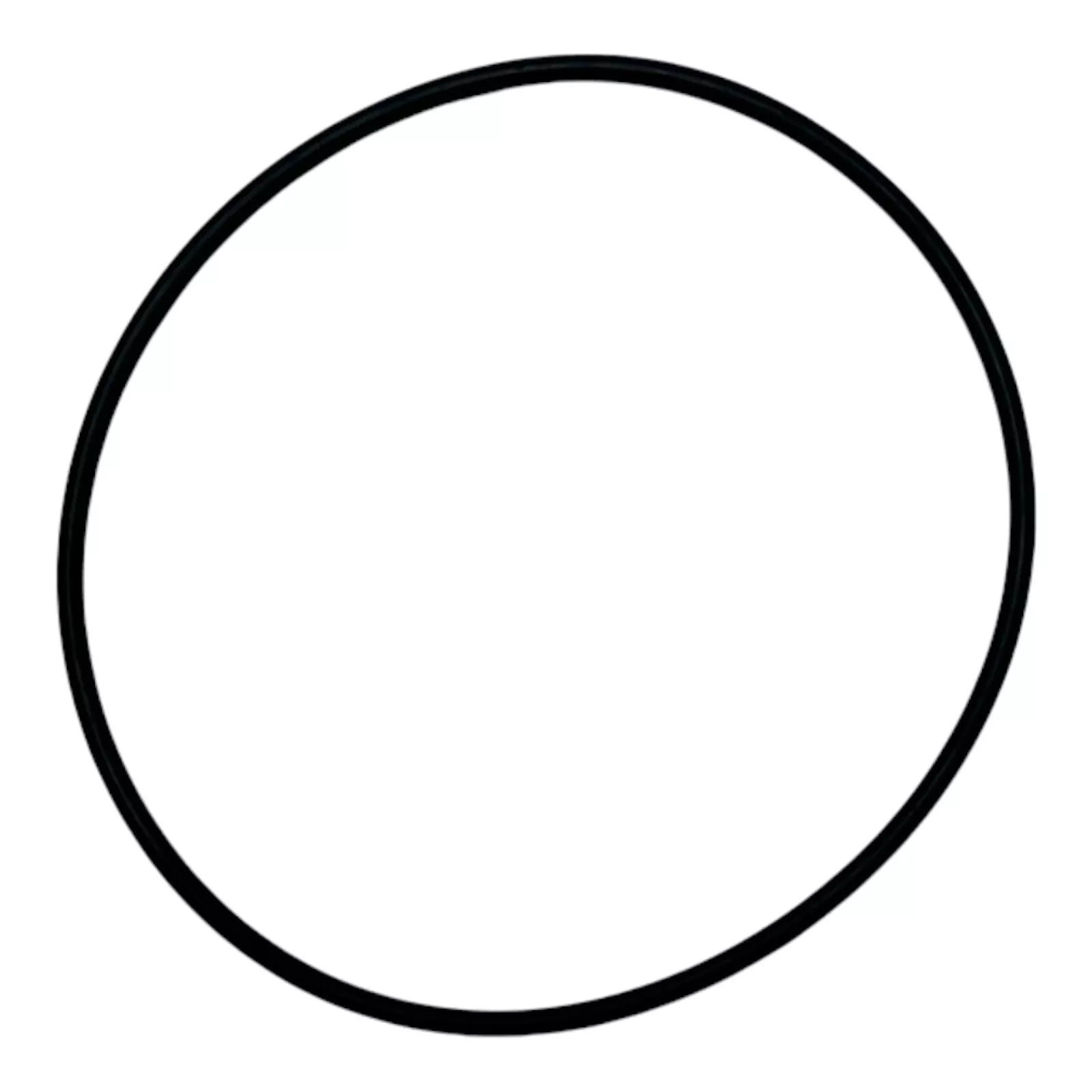 O-Ring for Pool Controls SWC Cell Housing Chlorinator O-Ring for Pool Controls SWC Cell Housing Chlorinator